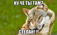 ну че ты там? степан! !!