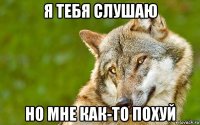 я тебя слушаю но мне как-то похуй