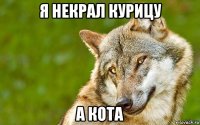 я некрал курицу а кота