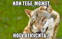 или тебе, может ногу откусить?