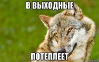 в выходные потеплеет