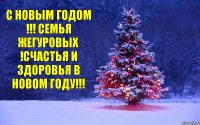 С новым годом !!! Семья жегуровых !Счастья и здоровья в новом году!!!