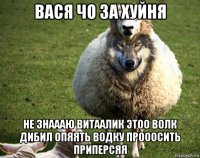 вася чо за хуйня не знаааю витаалик этоо волк дибил опяять водку прооосить приперсяя