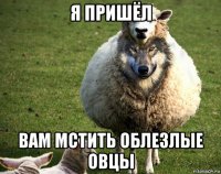 я пришёл вам мстить облезлые овцы