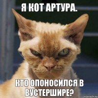 Я кот Артура. Кто опоносился в Вустершире?