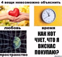 Как кот чует, что я вискас покупаю?