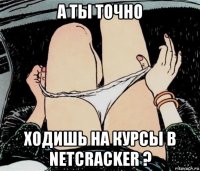 а ты точно ходишь на курсы в netcracker ?