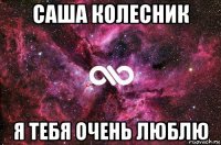 саша колесник я тебя очень люблю