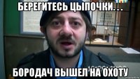 берегитесь цыпочки. . . бородач вышел на охоту