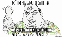 эй вы, мелкотня!!! вы чего, моей ласточке лобовуху разбили???