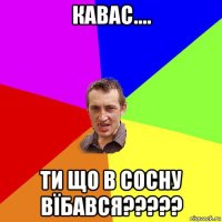 кавас.... ти що в сосну вїбався?????