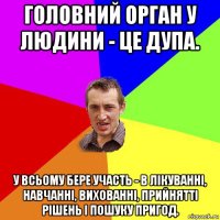 головний орган у людини - це дупа. у всьому бере участь - в лікуванні, навчанні, вихованні, прийнятті рішень і пошуку пригод.