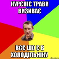 курєніє трави визиває всє шо є в холодільніку