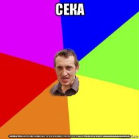 сека лолплбрлмл245115113021131602313221121252524125622211511122112121115424179161847615416164911484646464646464644646446