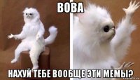 вова нахуй тебе вообще эти мемы?