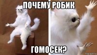 почему робик гомосек?