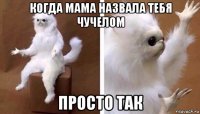 когда мама назвала тебя чучелом просто так