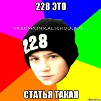 228 это статья такая