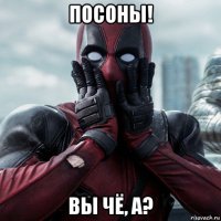 посоны! вы чё, а?