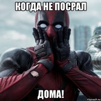 когда не посрал дома!