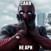 саня не ари