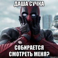 даша сучка собирается смотреть меня?