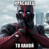 красавец то какой