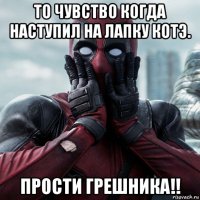 то чувство когда наступил на лапку котэ. прости грешника!!