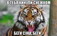 в тебя кинули снежком беги сука, беги...