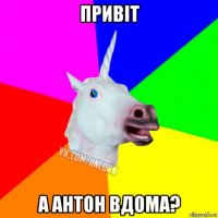 привіт а антон вдома?