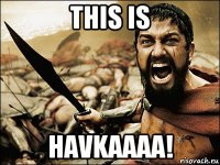 this is havkaaaa!