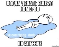 когда делать еще 20 номеров по алгебре