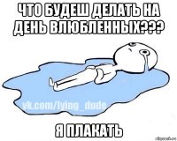 что будеш делать на день влюбленных??? я плакать