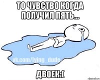 то чувство когда получил пять... двоек:(