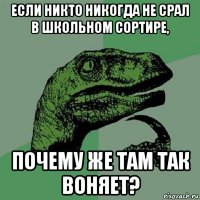 если никто никогда не срал в школьном сортире, почему же там так воняет?