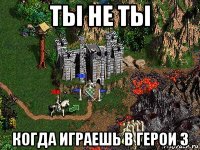 ты не ты когда играешь в герои 3