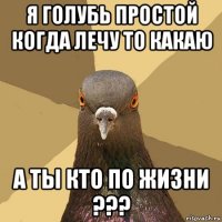 я голубь простой когда лечу то какаю а ты кто по жизни ???