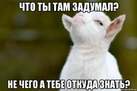 что ты там задумал? не чего а тебе откуда знать?