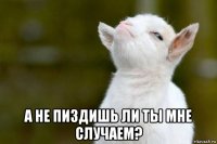  а не пиздишь ли ты мне случаем?