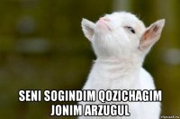  seni sogindim qozichagim jonim arzugul