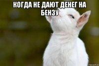 когда не дают денег на бензу 