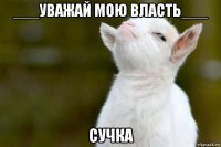 ___уважай мою власть___ сучка