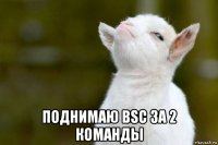  поднимаю bsc за 2 команды