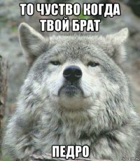 то чуство когда твой брат педро