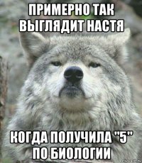 примерно так выглядит настя когда получила "5" по биологии