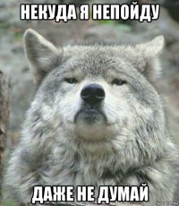 некуда я непойду даже не думай