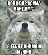 вонц вор асума вандам@ я тебя понимаю мужик