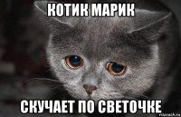 котик марик скучает по светочке