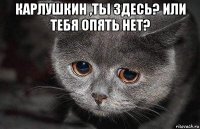 карлушкин ,ты здесь? или тебя опять нет? 