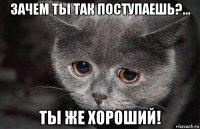 зачем ты так поступаешь?... ты же хороший!